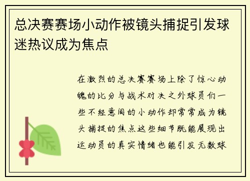 总决赛赛场小动作被镜头捕捉引发球迷热议成为焦点